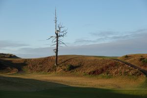 Old Macdonald 3rd Ghost Tree 2020